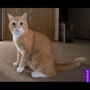 Meet your Posher, Mireille